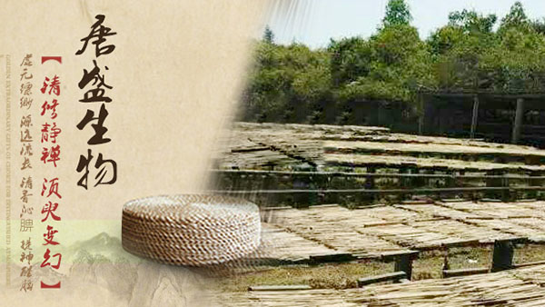 岳阳市唐盛生物科技有限公司