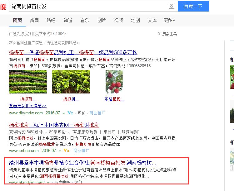 这样做seo，靖州杨梅网站排名有盼头