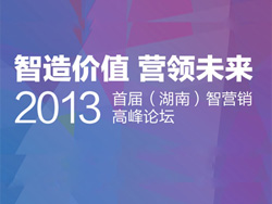 2013首届（湖南）智营销高峰论坛即将启幕